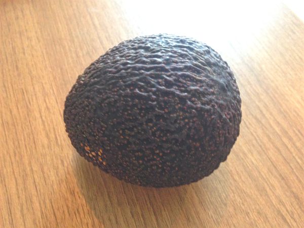 f:id:pukuko15:20160120155040j:plain f:id:pukuko15:20160120155040j:plain