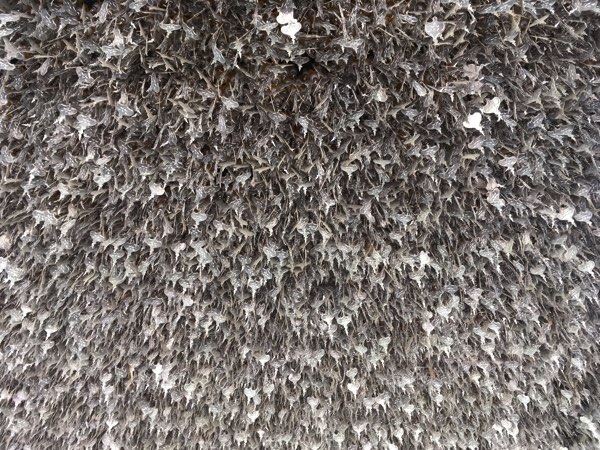 f:id:pukuko15:20160526181626j:plain f:id:pukuko15:20160526181626j:plain