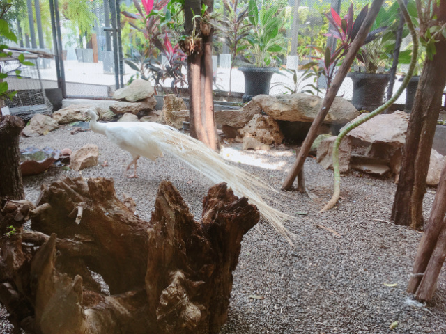 f:id:pukuko15:20180306013737j:plain f:id:pukuko15:20180306013737j:plain