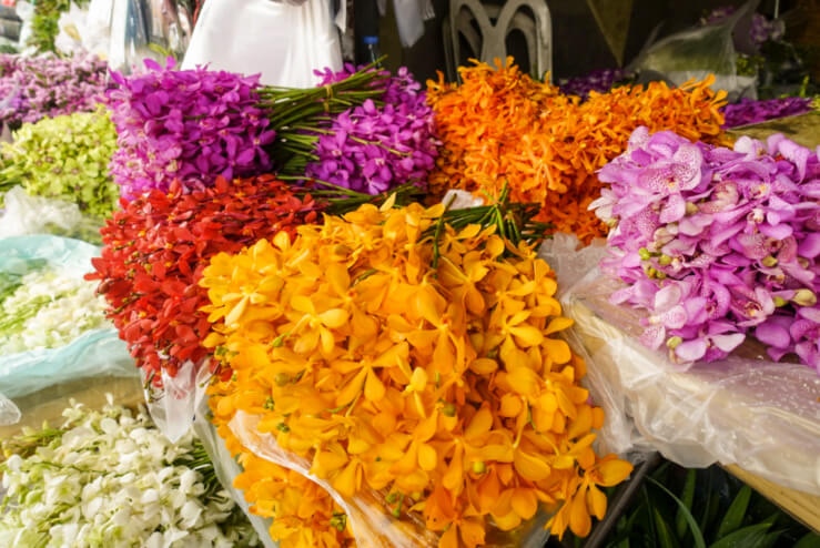バンコクの花市場と言えばココ パークローン市場 に行ってきた Bangkok Girls Note